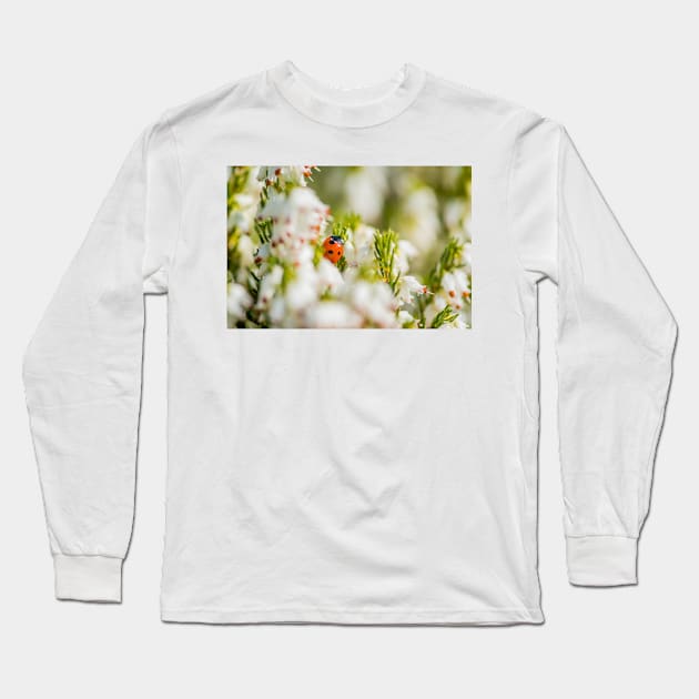 Ladybird amongst the heather Long Sleeve T-Shirt by mbangert